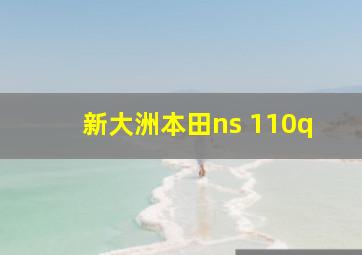 新大洲本田ns 110q