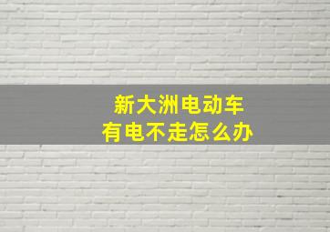 新大洲电动车有电不走怎么办