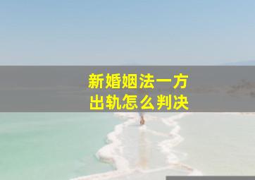 新婚姻法一方出轨怎么判决