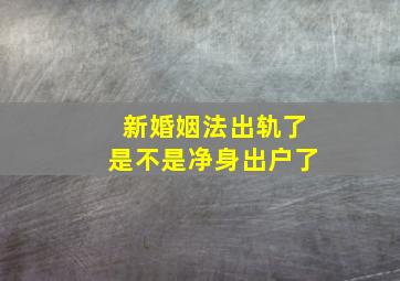 新婚姻法出轨了是不是净身出户了