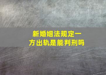 新婚姻法规定一方出轨是能判刑吗