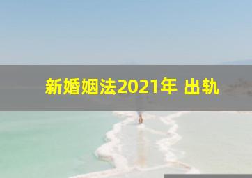 新婚姻法2021年 出轨