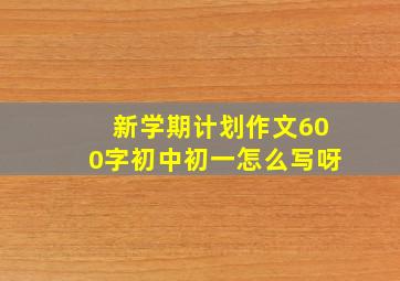 新学期计划作文600字初中初一怎么写呀