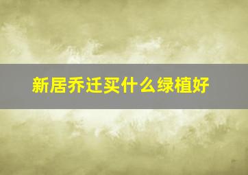 新居乔迁买什么绿植好