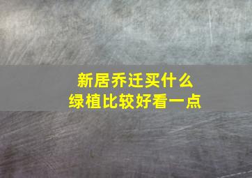 新居乔迁买什么绿植比较好看一点