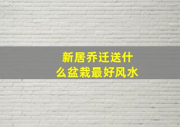 新居乔迁送什么盆栽最好风水