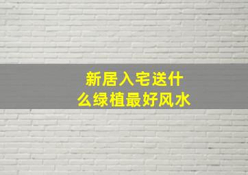 新居入宅送什么绿植最好风水