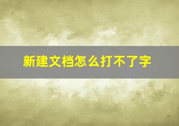 新建文档怎么打不了字