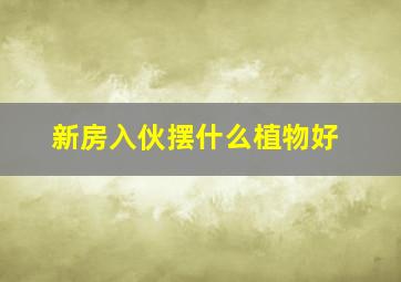 新房入伙摆什么植物好