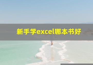 新手学excel哪本书好