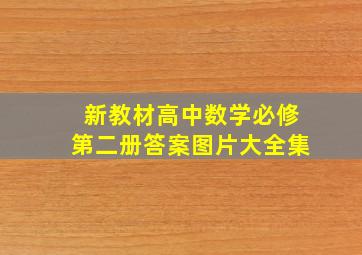 新教材高中数学必修第二册答案图片大全集