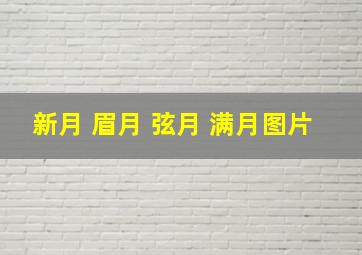 新月 眉月 弦月 满月图片