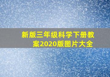 新版三年级科学下册教案2020版图片大全