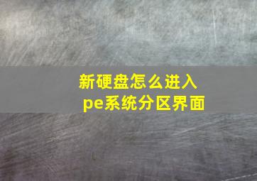 新硬盘怎么进入pe系统分区界面