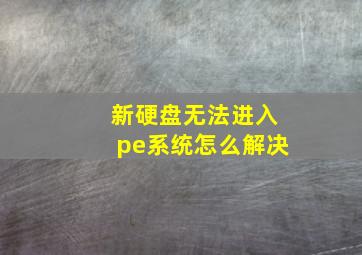 新硬盘无法进入pe系统怎么解决