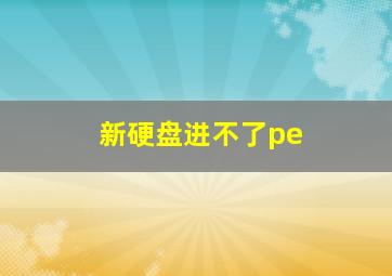 新硬盘进不了pe