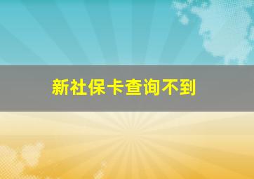 新社保卡查询不到