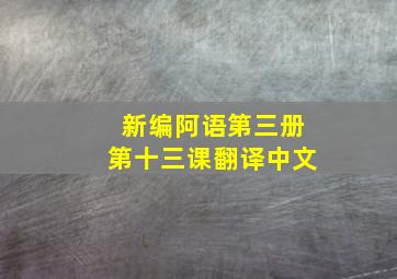 新编阿语第三册第十三课翻译中文