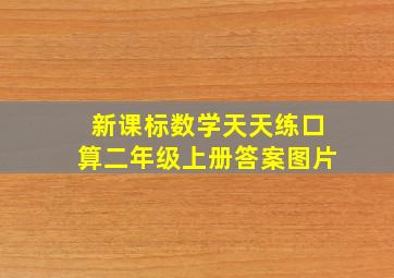 新课标数学天天练口算二年级上册答案图片