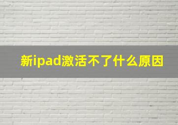 新ipad激活不了什么原因