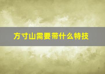 方寸山需要带什么特技