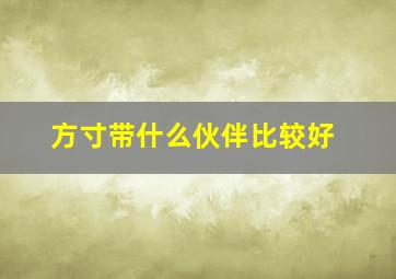 方寸带什么伙伴比较好