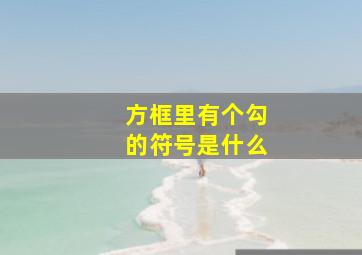 方框里有个勾的符号是什么