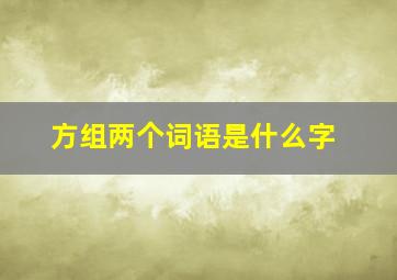 方组两个词语是什么字