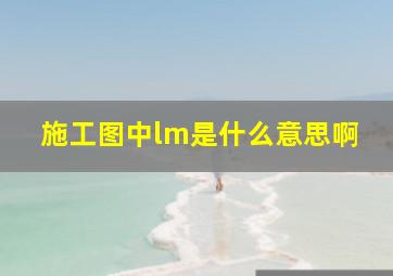 施工图中lm是什么意思啊