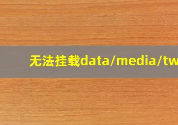 无法挂载data/media/twrp