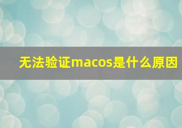 无法验证macos是什么原因