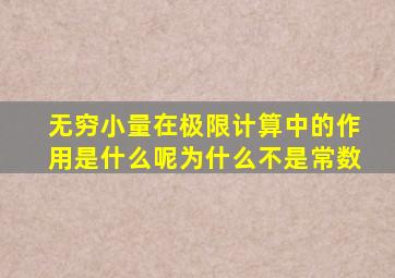 无穷小量在极限计算中的作用是什么呢为什么不是常数