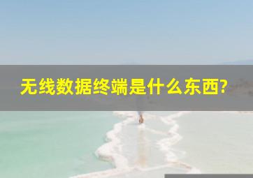 无线数据终端是什么东西?