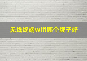 无线终端wifi哪个牌子好