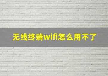 无线终端wifi怎么用不了