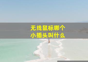 无线鼠标哪个小插头叫什么