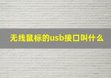 无线鼠标的usb接口叫什么