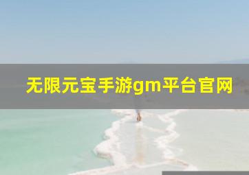 无限元宝手游gm平台官网