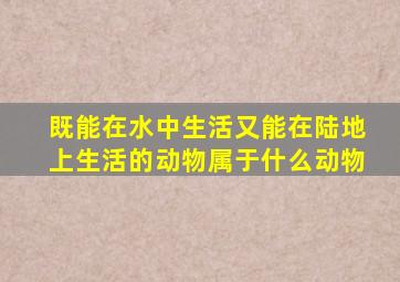 既能在水中生活又能在陆地上生活的动物属于什么动物