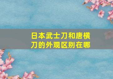 日本武士刀和唐横刀的外观区别在哪