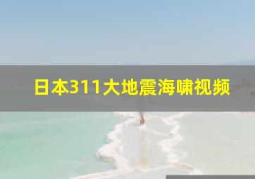 日本311大地震海啸视频