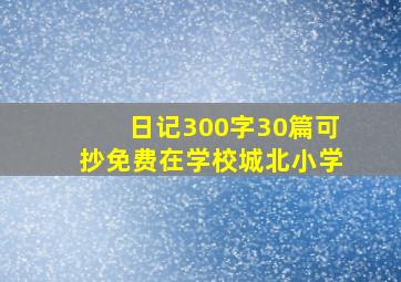 日记300字30篇可抄免费在学校城北小学