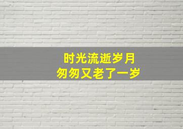 时光流逝岁月匆匆又老了一岁