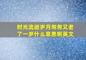 时光流逝岁月匆匆又老了一岁什么意思啊英文