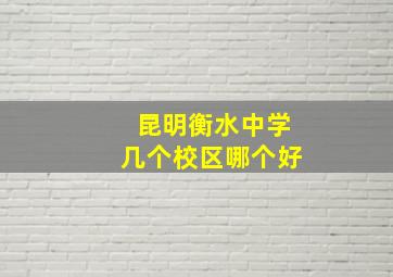 昆明衡水中学几个校区哪个好