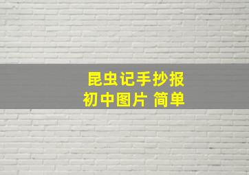 昆虫记手抄报初中图片 简单