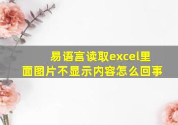 易语言读取excel里面图片不显示内容怎么回事