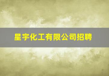 星宇化工有限公司招聘