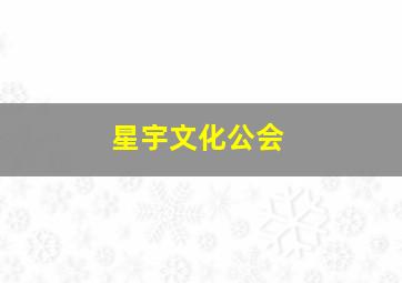 星宇文化公会