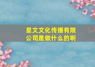 星文文化传播有限公司是做什么的啊